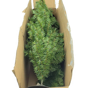 Holiday Time 32 Inch Pine Christmas Tree, Green